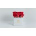 Κύβος Σε Χρυσό, Λευκό ή Μαύρο κουτί Με Κόκκινα Τριαντάφυλλα.